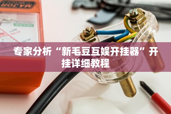 专家分析“新毛豆互娱开挂器”开挂详细教程