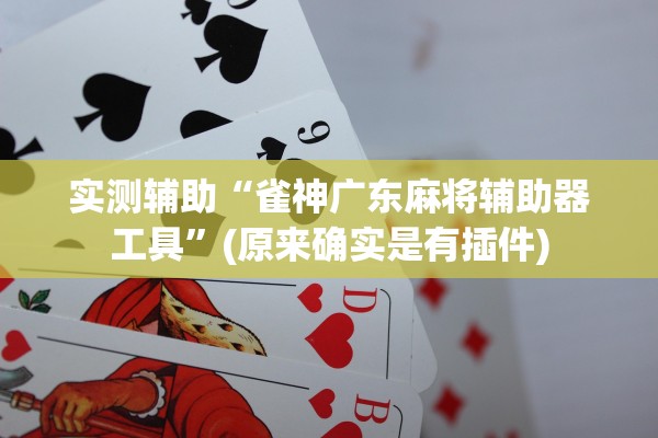 实测辅助“雀神广东麻将辅助器工具	”(原来确实是有插件)