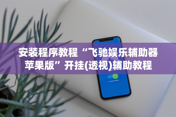 安装程序教程“飞驰娱乐辅助器苹果版”开挂(透视)辅助教程