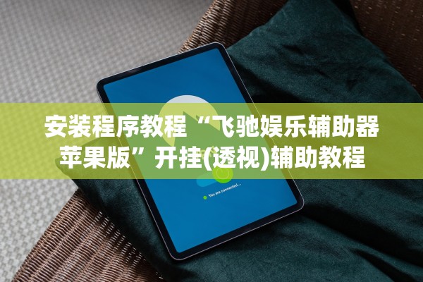 安装程序教程“飞驰娱乐辅助器苹果版”开挂(透视)辅助教程