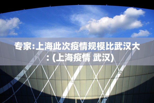 专家:上海此次疫情规模比武汉大︰(上海疫情 武汉)