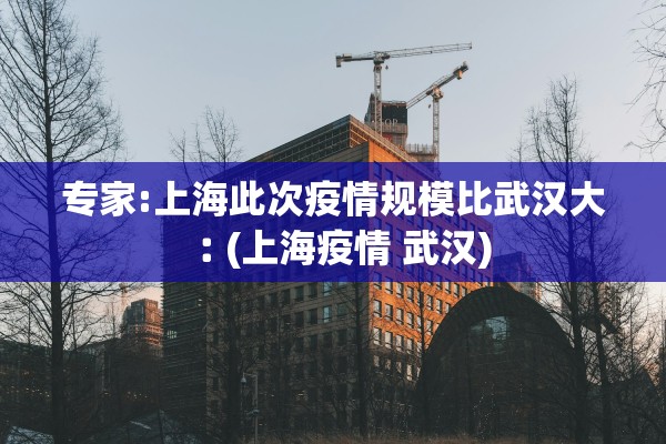 专家:上海此次疫情规模比武汉大︰(上海疫情 武汉)