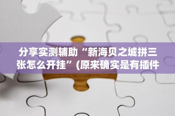 分享实测辅助“新海贝之城拼三张怎么开挂	”(原来确实是有插件)