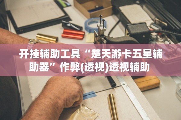 开挂辅助工具“楚天游卡五星辅助器”作弊(透视)透视辅助 
