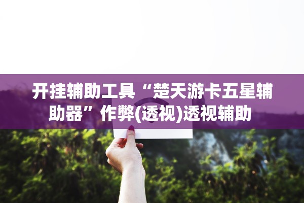 开挂辅助工具“楚天游卡五星辅助器”作弊(透视)透视辅助 