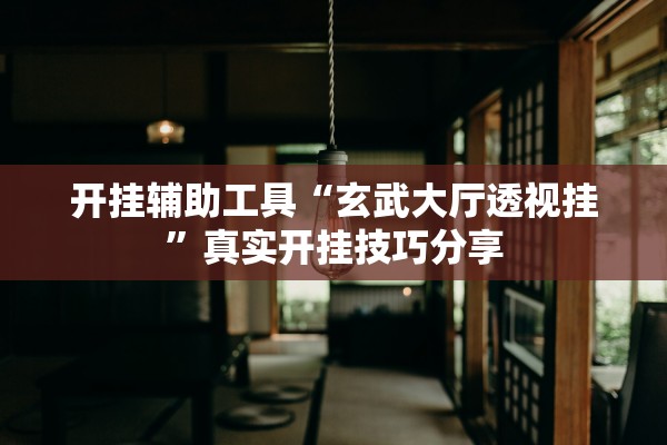 开挂辅助工具“玄武大厅透视挂”真实开挂技巧分享