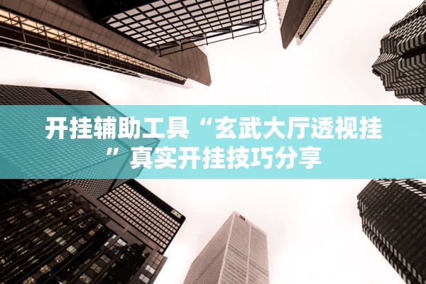 开挂辅助工具“玄武大厅透视挂	”真实开挂技巧分享