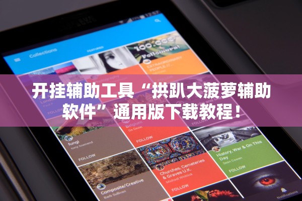 开挂辅助工具“拱趴大菠萝辅助软件	”通用版下载教程！