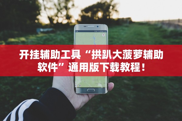 开挂辅助工具“拱趴大菠萝辅助软件”通用版下载教程！