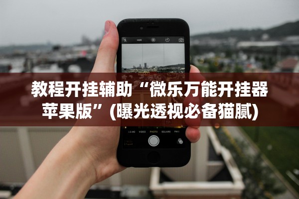 教程开挂辅助“微乐万能开挂器苹果版”(曝光透视必备猫腻)