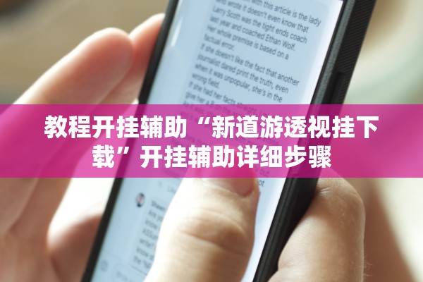 教程开挂辅助“新道游透视挂下载	”开挂辅助详细步骤