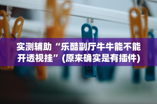 实测辅助“乐酷副厅牛牛能不能开透视挂	”(原来确实是有插件)