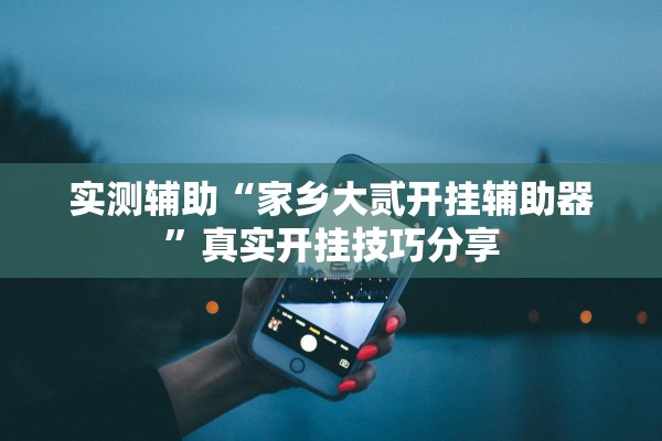 实测辅助“家乡大贰开挂辅助器”真实开挂技巧分享