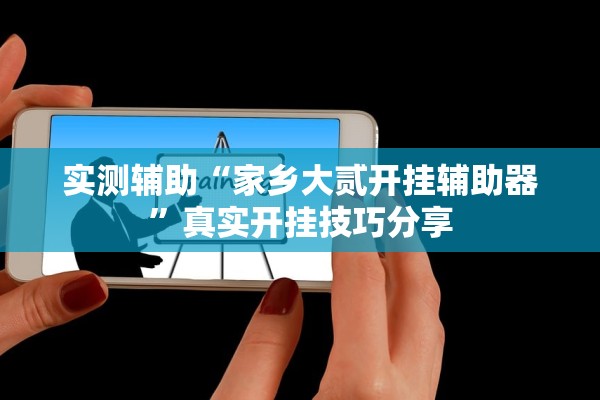 实测辅助“家乡大贰开挂辅助器”真实开挂技巧分享