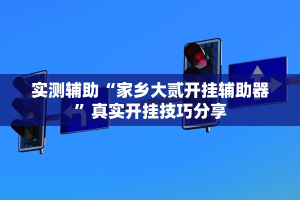 实测辅助“家乡大贰开挂辅助器”真实开挂技巧分享