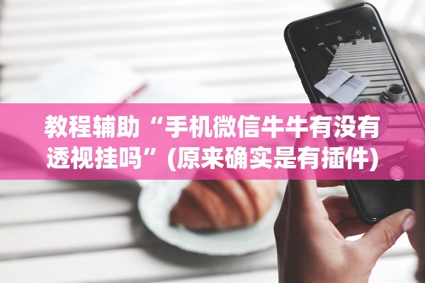 教程辅助“手机微信牛牛有没有透视挂吗”(原来确实是有插件)