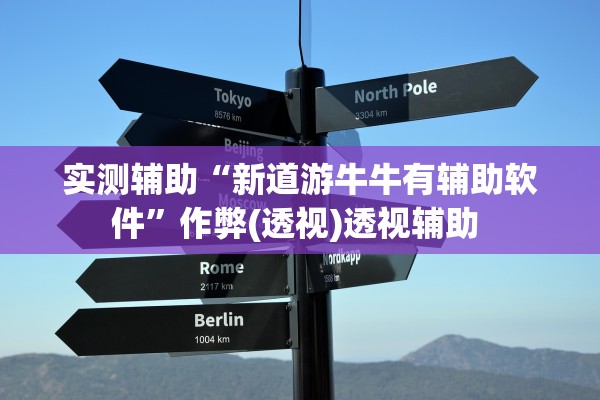 实测辅助“新道游牛牛有辅助软件”作弊(透视)透视辅助 