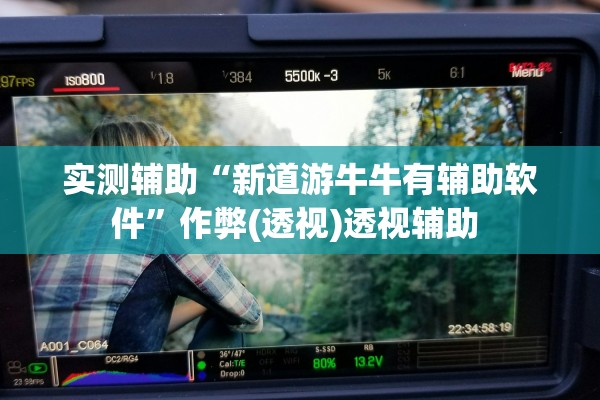 实测辅助“新道游牛牛有辅助软件”作弊(透视)透视辅助 