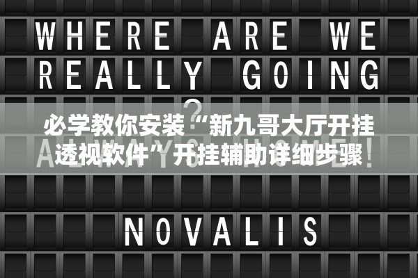 必学教你安装“新九哥大厅开挂透视软件”开挂辅助详细步骤