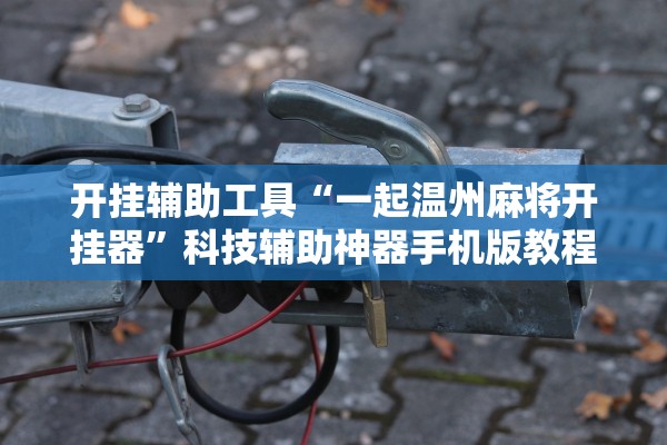 开挂辅助工具“一起温州麻将开挂器”科技辅助神器手机版教程