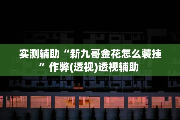 实测辅助“新九哥金花怎么装挂”作弊(透视)透视辅助 