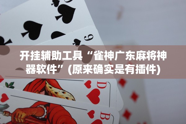 开挂辅助工具“雀神广东麻将神器软件”(原来确实是有插件)