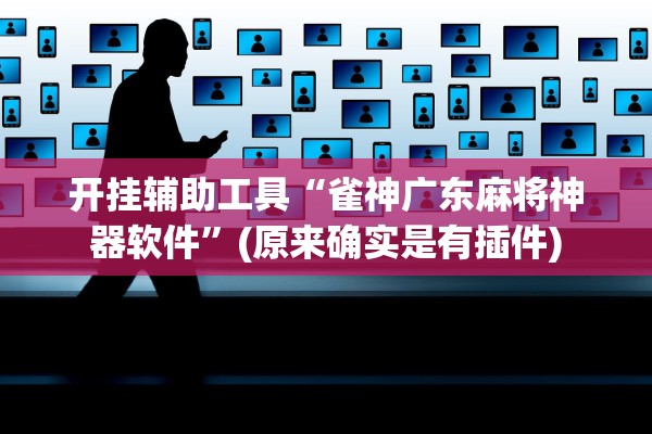 开挂辅助工具“雀神广东麻将神器软件”(原来确实是有插件)