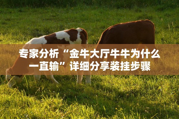 专家分析“金牛大厅牛牛为什么一直输”详细分享装挂步骤