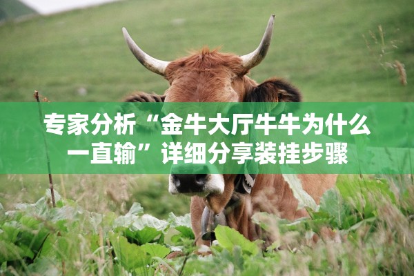 专家分析“金牛大厅牛牛为什么一直输	”详细分享装挂步骤