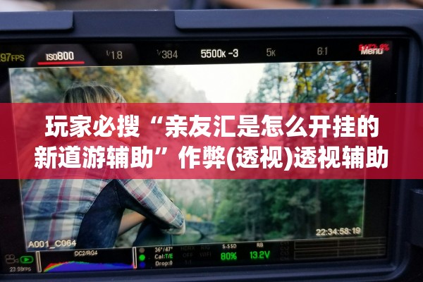 玩家必搜“亲友汇是怎么开挂的新道游辅助”作弊(透视)透视辅助 