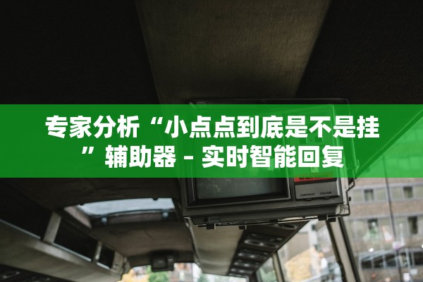 专家分析“小点点到底是不是挂	”辅助器 – 实时智能回复