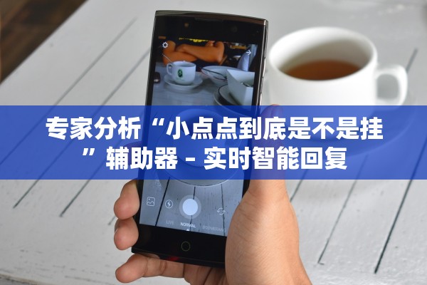 专家分析“小点点到底是不是挂”辅助器 – 实时智能回复