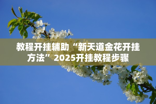 教程开挂辅助“新天道金花开挂方法”2025开挂教程步骤