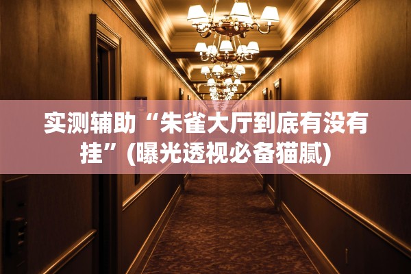 实测辅助“朱雀大厅到底有没有挂	”(曝光透视必备猫腻)