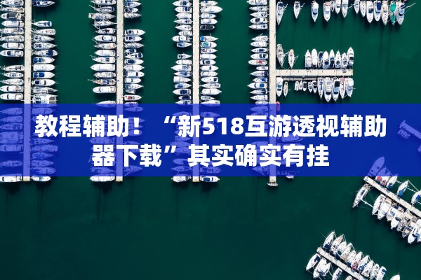 教程辅助！“新518互游透视辅助器下载”其实确实有挂