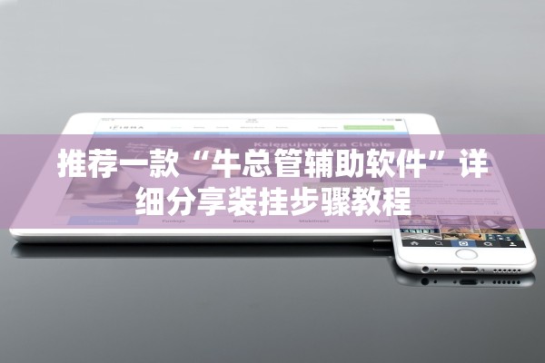 推荐一款“牛总管辅助软件”详细分享装挂步骤教程