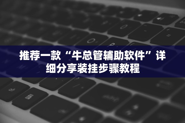 推荐一款“牛总管辅助软件	”详细分享装挂步骤教程