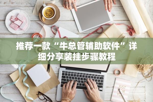 推荐一款“牛总管辅助软件”详细分享装挂步骤教程