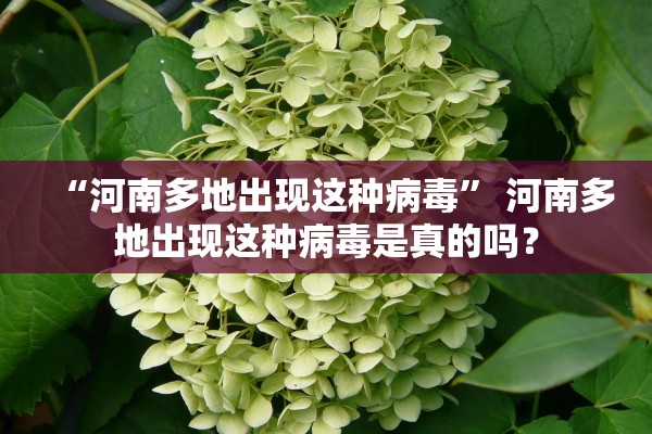 “河南多地出现这种病毒” 河南多地出现这种病毒是真的吗？