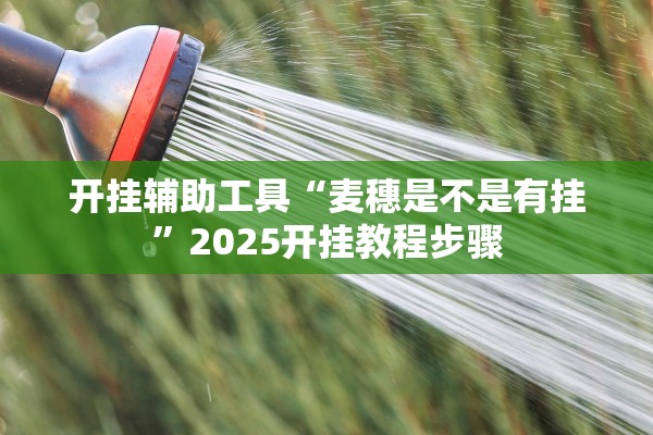 开挂辅助工具“麦穗是不是有挂”2025开挂教程步骤