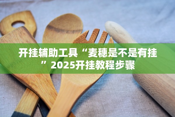 开挂辅助工具“麦穗是不是有挂	”2025开挂教程步骤