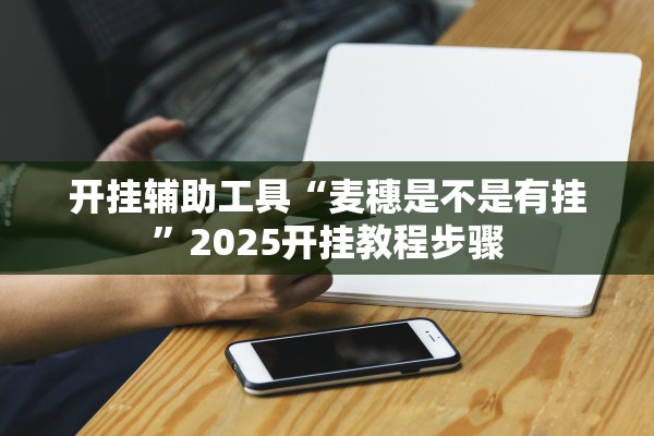 开挂辅助工具“麦穗是不是有挂”2025开挂教程步骤