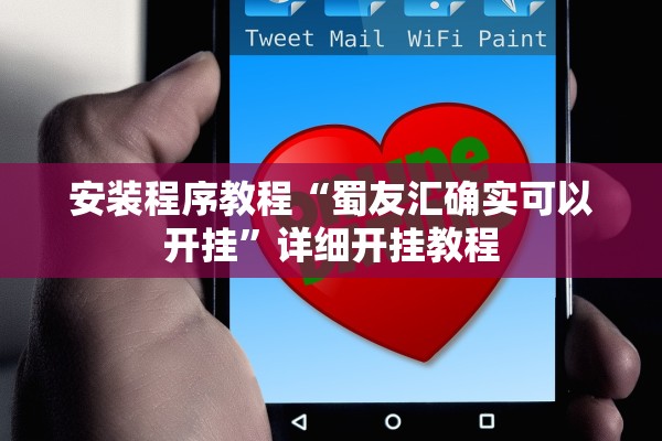 安装程序教程“蜀友汇确实可以开挂	”详细开挂教程