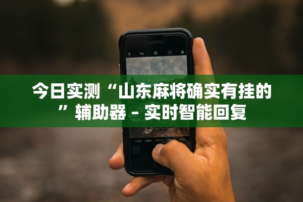 今日实测“山东麻将确实有挂的”辅助器 – 实时智能回复