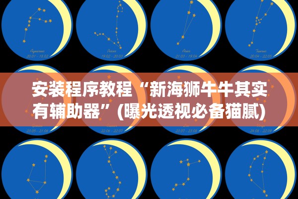 安装程序教程“新海狮牛牛其实有辅助器”(曝光透视必备猫腻)