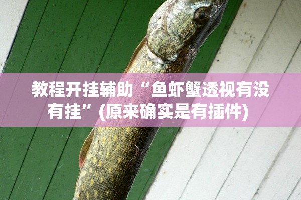 教程开挂辅助“鱼虾蟹透视有没有挂	”(原来确实是有插件) 