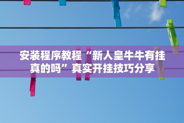 安装程序教程“新人皇牛牛有挂真的吗”真实开挂技巧分享