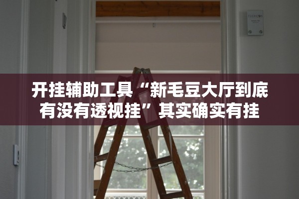 开挂辅助工具“新毛豆大厅到底有没有透视挂”其实确实有挂