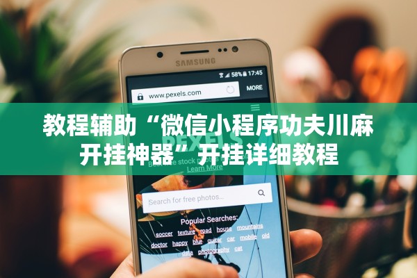 教程辅助“微信小程序功夫川麻开挂神器”开挂详细教程