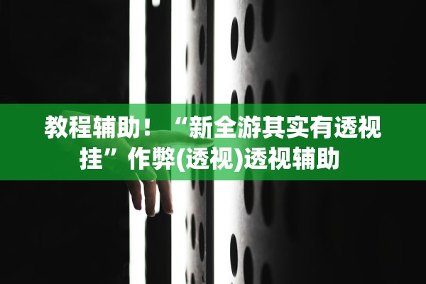 教程辅助！“新全游其实有透视挂”作弊(透视)透视辅助 